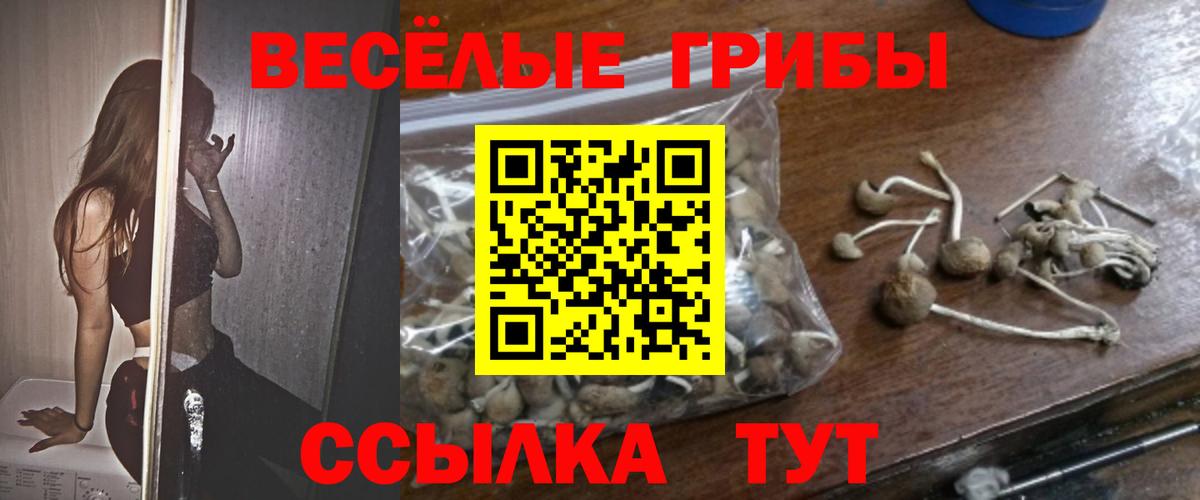 Вязники  наркота  Галлюциногенные грибы ЛСД  Вход с VPN  Псилоцибиновые грибы прущие грибы 