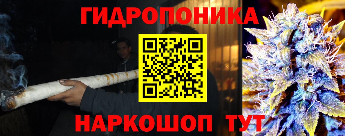 Конопля сатива  Вход с VPN  Вязники  Шишки марихуана марихуана  Марихуана OG Kush 